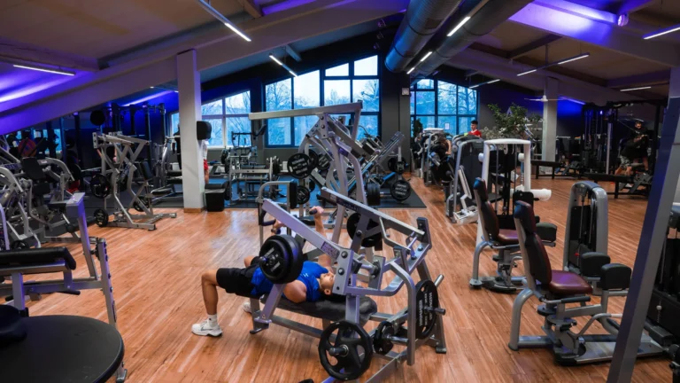 DSC01263-Verbessert-RR-scaled